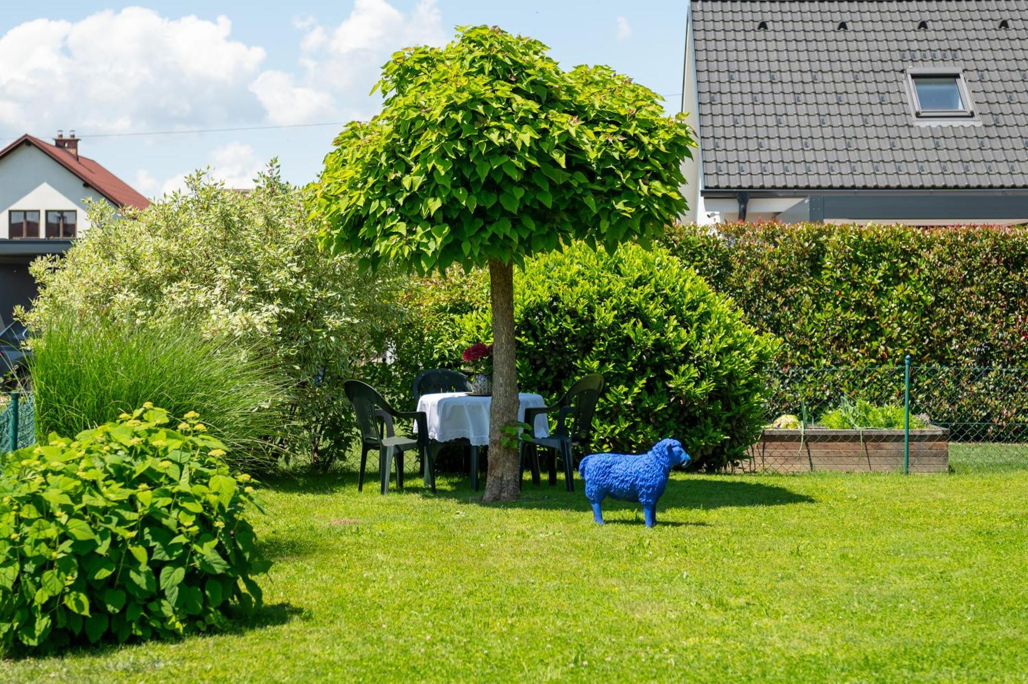 Relax Apartma Peter Ptuj Exterior photo